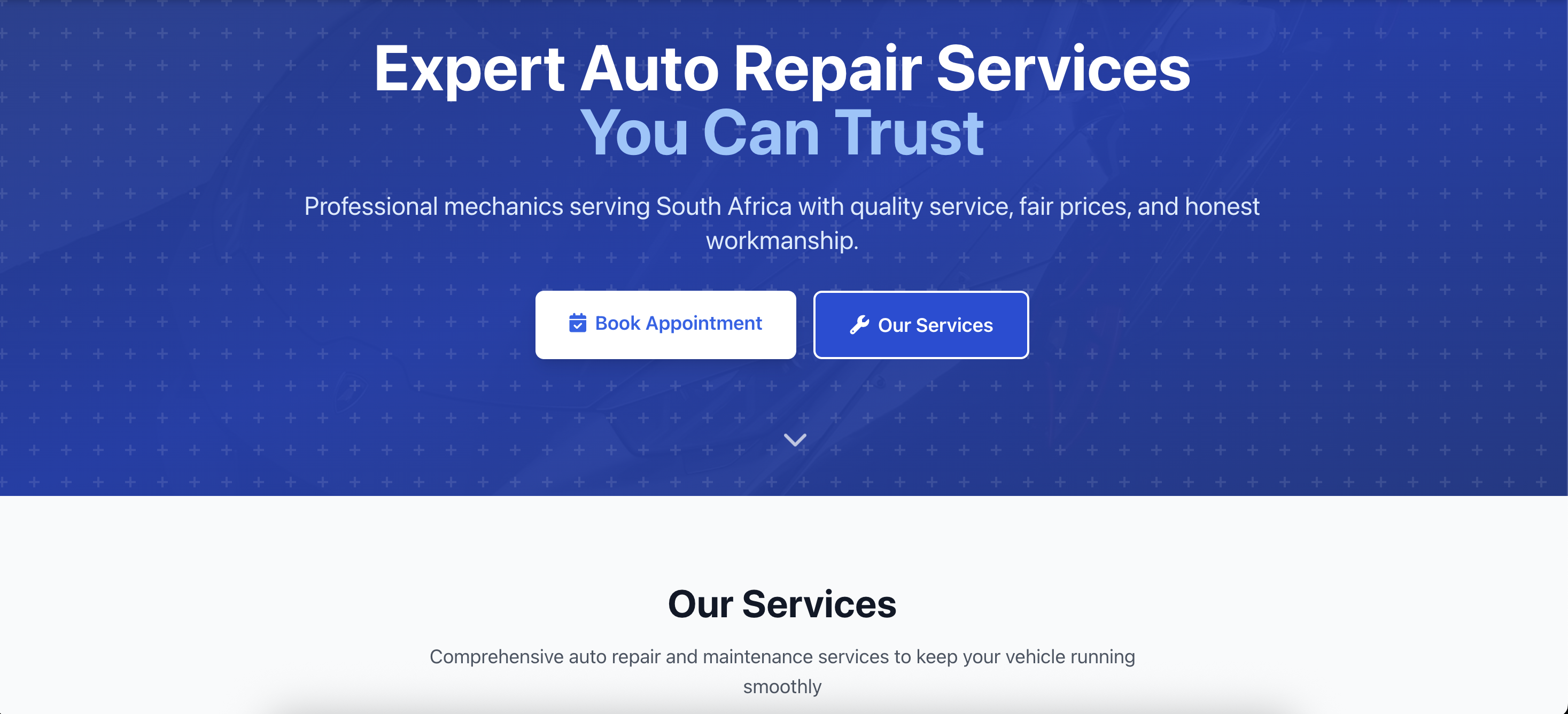 AutoCare Pro screenshot